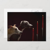 Whippets am Weihnachten (Vorne/Hinten)