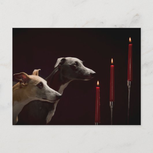 Whippets am Weihnachten (Vorderseite)