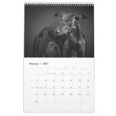 Whippets im Studio 2013 Kalender (Feb 2027)
