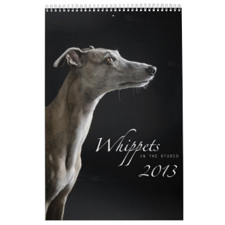 Whippets im Studio 2013 Kalender