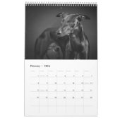 Whippets im Studio 2013 Kalender (Feb 2026)