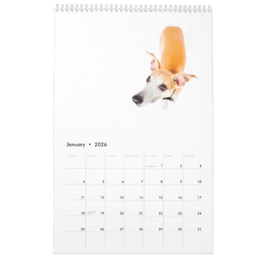 Whippets im Studio 2013 Kalender (Jan 2026)