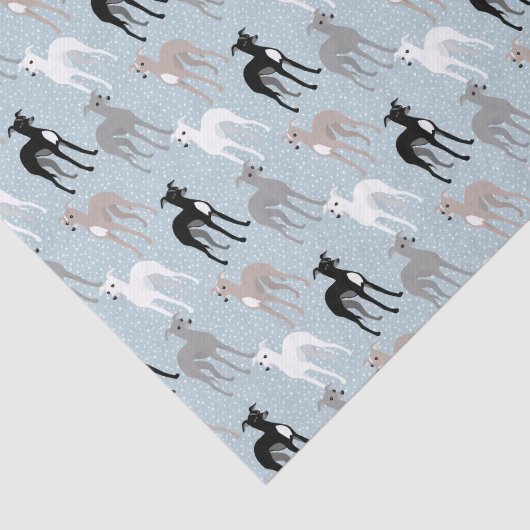 Whippets oder italienisches Greyhounds-Tissue Seidenpapier (Ausschnitt)