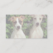 Whippets Visitenkarte (Rückseite)