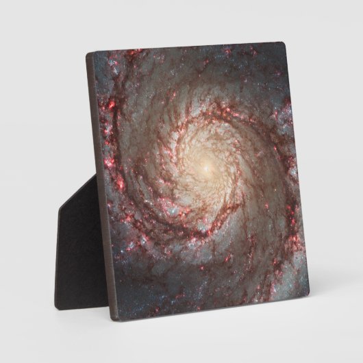 Whirlpool Galaxy Fotoplatte (Vorderseite)