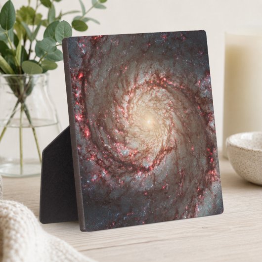 Whirlpool Galaxy Fotoplatte