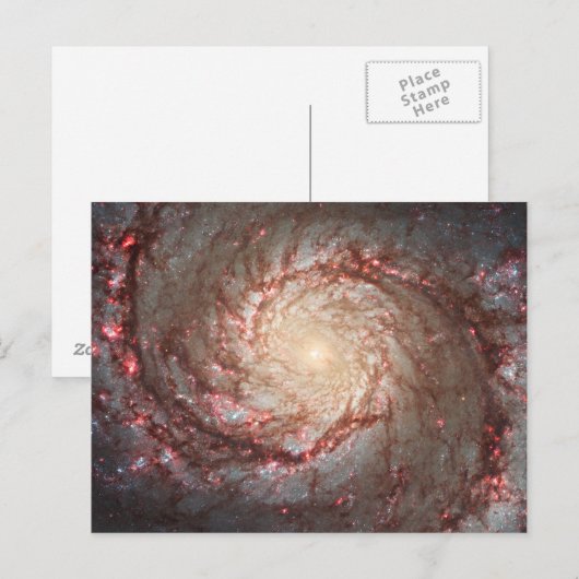 Whirlpool Galaxy Postkarte (Vorne/Hinten)