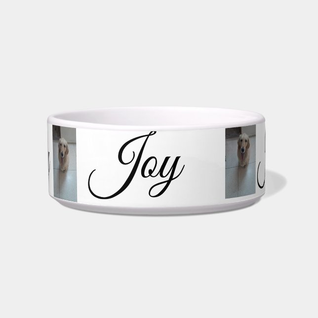 "Whisker Haven: Stilvolle und praktische Pet Bowls Napf (Vorderseite)