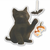 Whisker Hex & Lantern Glow Classic T - Shirt Aufkleber (Vorderseite)