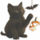 Whisker Hex & Lantern Glow Classic T-Shirt Aufkleber (Vorderseite)