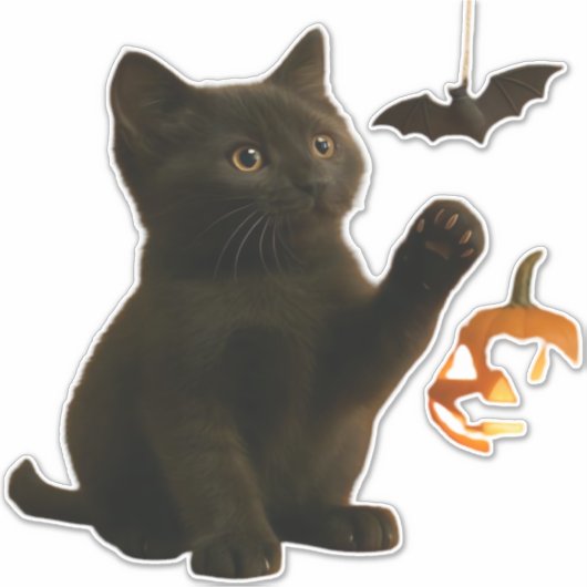 Whisker Hex & Lantern Glow Classic T-Shirt Aufkleber (Vorderseite)