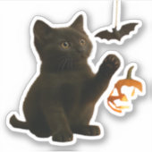 Whisker Hex & Lantern Glow Classic T - Shirt Aufkleber (Vorderseite)