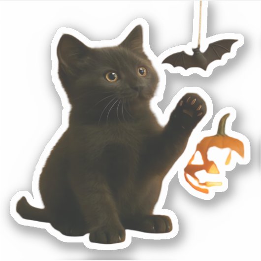 Whisker Hex & Lantern Glow Classic T - Shirt Aufkleber (Vorderseite)