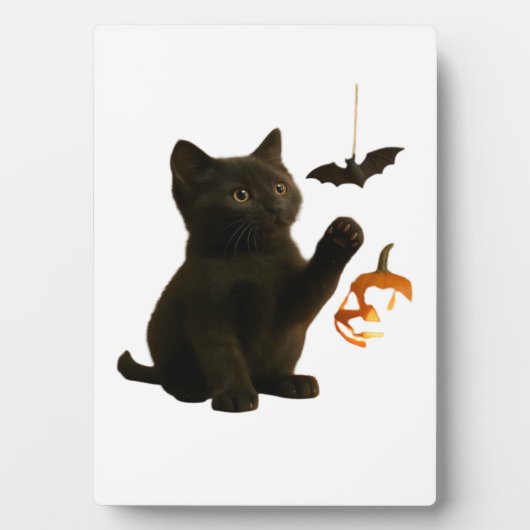 Whisker Hex & Lantern Glow Classic T-Shirt Fotoplatte (Vorderseite)