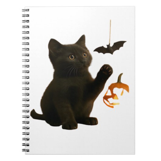 Whisker Hex & Lantern Glow Classic T-Shirt Notizblock (Vorderseite)