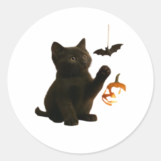 Whisker Hex & Lantern Glow Classic T - Shirt Runder Aufkleber (Vorderseite)