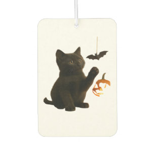 Whisker Hex & Lantern Glow Klassisches T-Shirt Autolufterfrischer