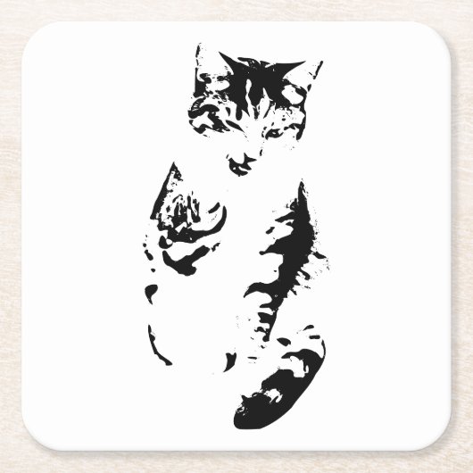 Whisker Winks Rechteckiger Pappuntersetzer (Vorderseite)