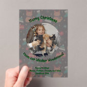 Whisker Wonderland Acrylic Photo Acryleinladungen (Insitu (Handheld))