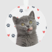 Whisker Wonderland Ornament (Rückseite)