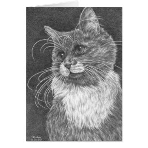 Whiskers Cat Zeichnend von Kelli Swan