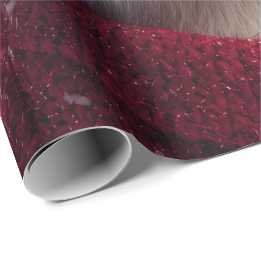 whiskers geschenkpapier (Rolleneckpunkt)