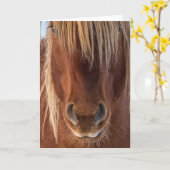 "Whiskers"-Karte Karte (Gelbe Blume)