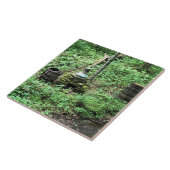 Whiskey Still at Mabry Mill, Virginia Fliese (Seite)