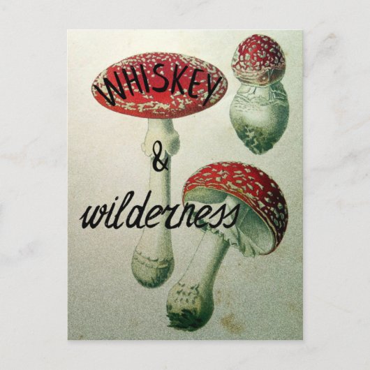 Whiskey & Wilderness Toadstool Postkarte (Vorderseite)