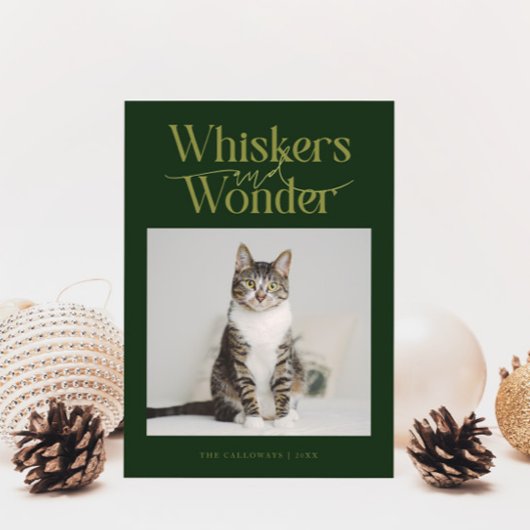 Whiskys & Wonder Cat Foto Grün Weihnachten