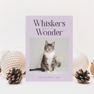 Whiskys & Wonder Cat Foto Lila Weihnachten