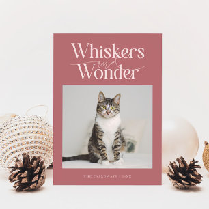 Whiskys & Wonder Cat Foto Rosa Weihnachten
