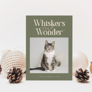 Whiskys & Wonder Cat Foto Weihnachten