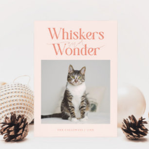 Whiskys & Wonder Cat Foto Weihnachten Pfirsich
