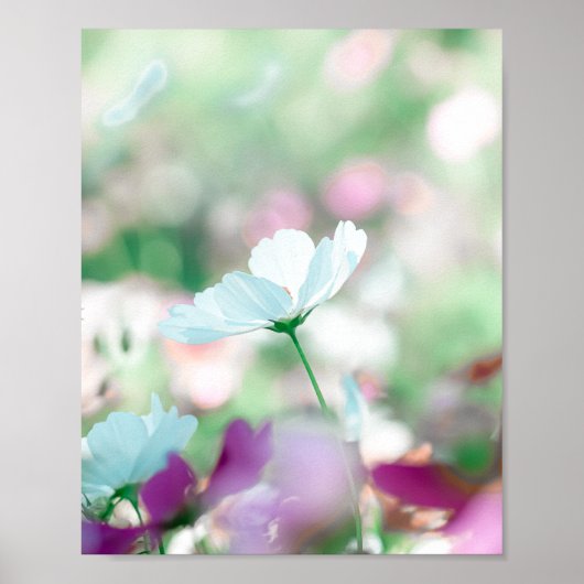 Whisper of an Afternoon Bloom Poster (Vorne)