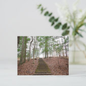 Whisperhöhle, Hocking Hills Staat Park, Ohio Postkarte (Stehend Vorderseite)