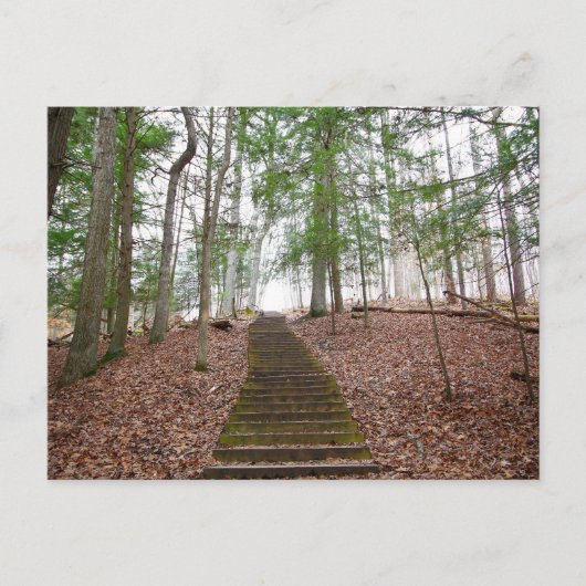 Whisperhöhle, Hocking Hills Staat Park, Ohio Postkarte (Vorderseite)