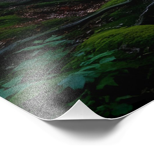 Whispering Forest Fotodruck (Ecke)