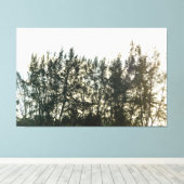 Whispering Pines of Taquari Leinwanddruck (Insitu (Holzboden))