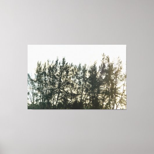 Whispering Pines of Taquari Leinwanddruck (Vorderseite)