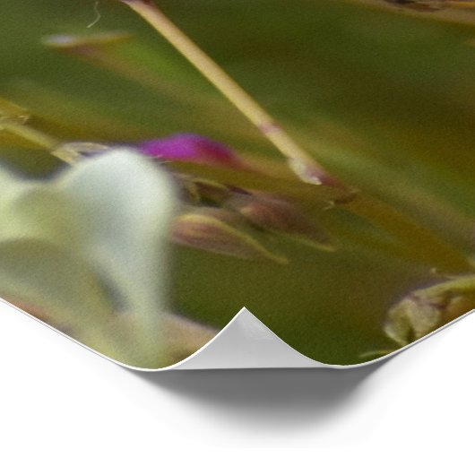 Whispers of Wildflowers Poster (Ecke)