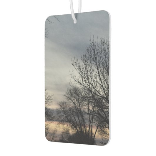 Whispers of Winter  Autolufterfrischer (Links)