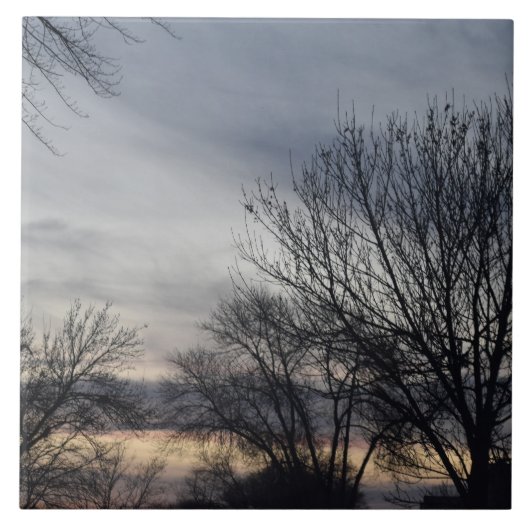 Whispers of Winter  Fliese (Vorderseite)