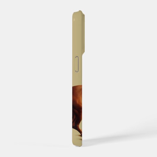 Whistlejacket horse by George Stubbs iPhone Hülle (Rechte Seite)