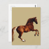 Whistlejacket horse by George Stubbs Postkarte (Vorne/Hinten)