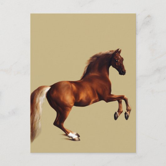 Whistlejacket horse by George Stubbs Postkarte (Vorderseite)