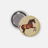 Whistlejacket-Pferd von George Stubbs Magnet (Vorderseite/Rückseite)