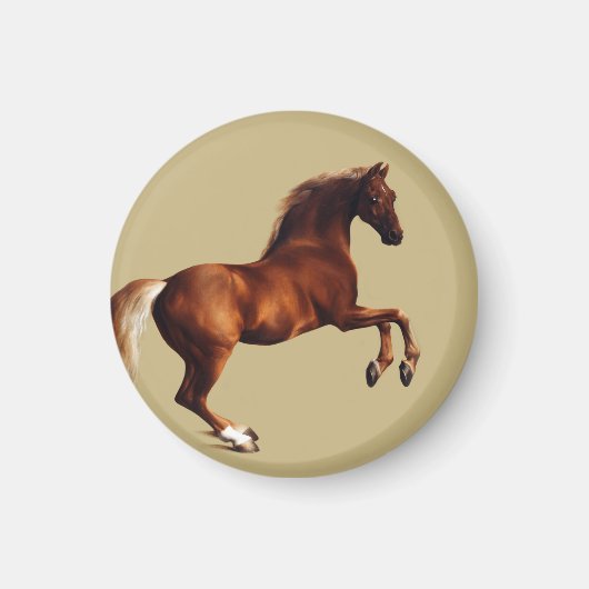 Whistlejacket-Pferd von George Stubbs Magnet (Vorne)