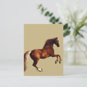 Whistlejacket-Pferd von George Stubbs Postkarte (Stehend Vorderseite)