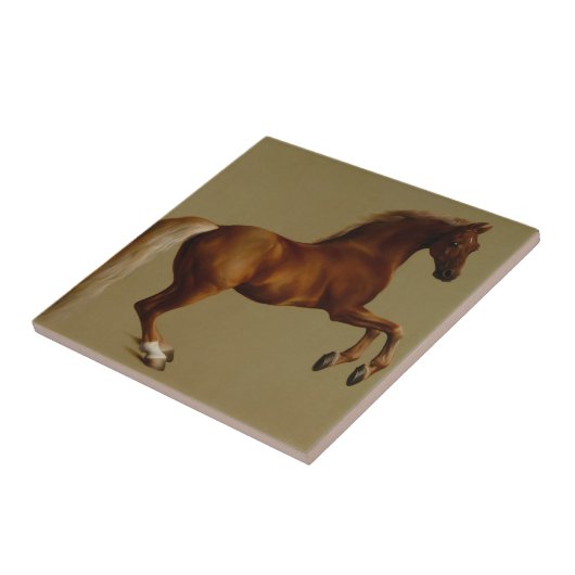 Whistlejacket Rennpferd von George Stubbs Fliese (Seite)